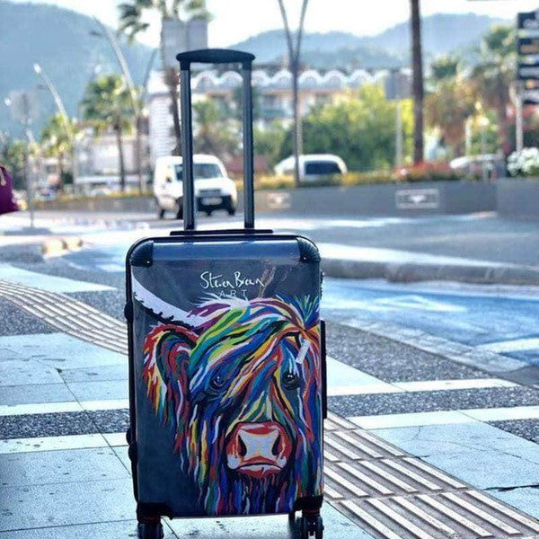 Steven Brown Suitcase