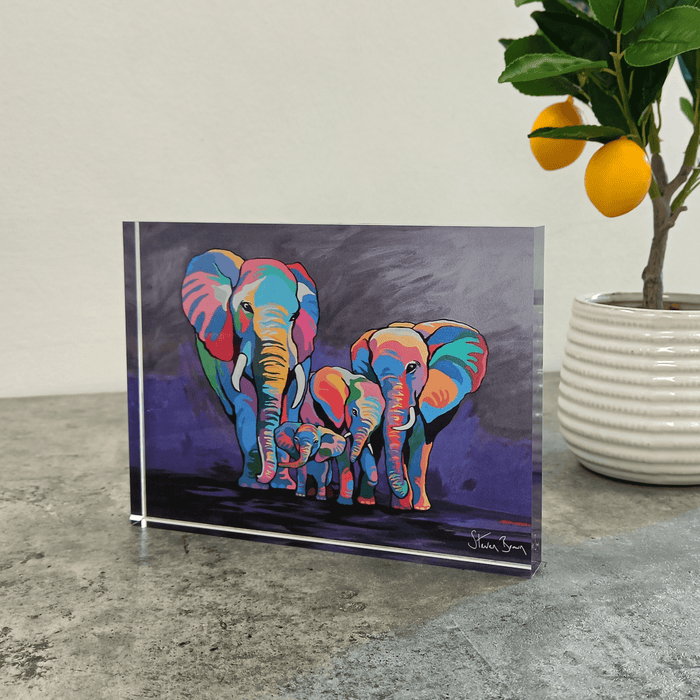 Allan & Jackie McZoo - Acrylic Art Block