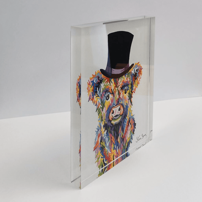 Baby McCoo - Acrylic Art Block