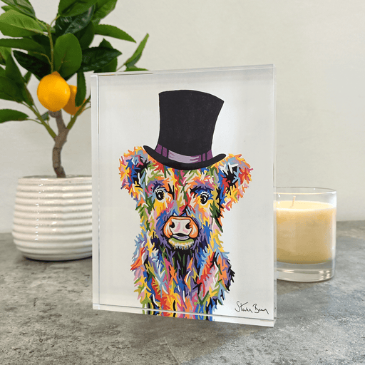 Baby McCoo - Acrylic Art Block