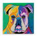 Davy McDug - Canvas Prints