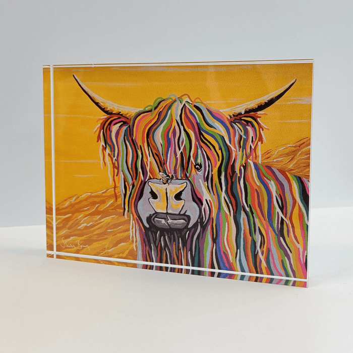 Gordon McCoo - Acrylic Art Block