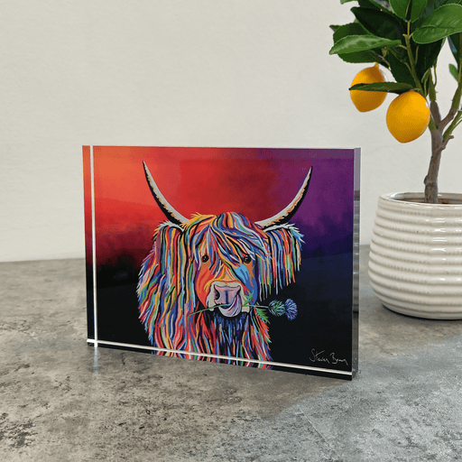 Lizzie McCoo - Acrylic Art Block